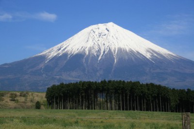 富士山！